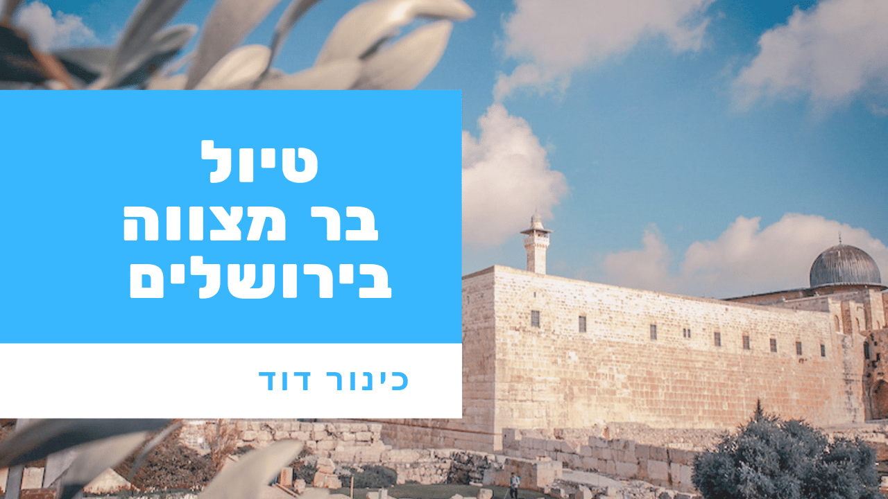 סיורי בר מצווה בכותל